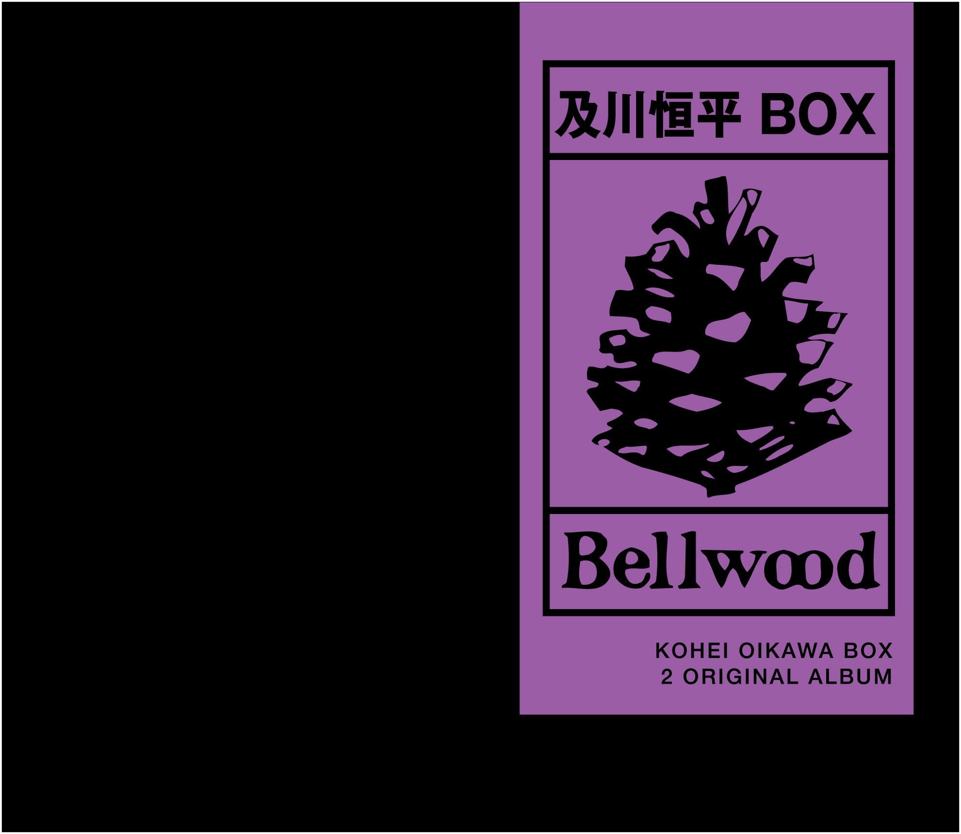 BZCS9017‾18